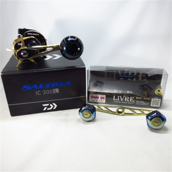 ２１ソルティガＩＣ３００ ６．３ 左